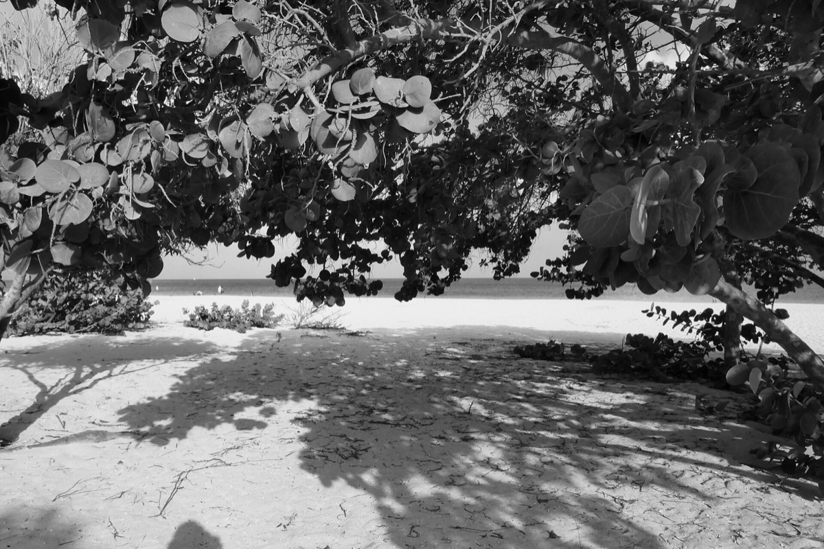 Eagle Beach bei Oranjestad – Aruba Einreise und Visum